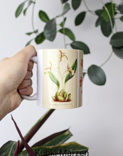 Kubek 330 ml z ilustracjami storczyków – botaniczne ryciny XIX w.