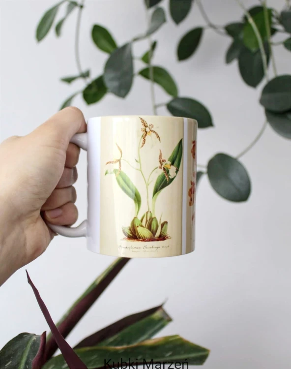 Kubek 330 ml z ilustracjami storczyków – botaniczne ryciny XIX w.