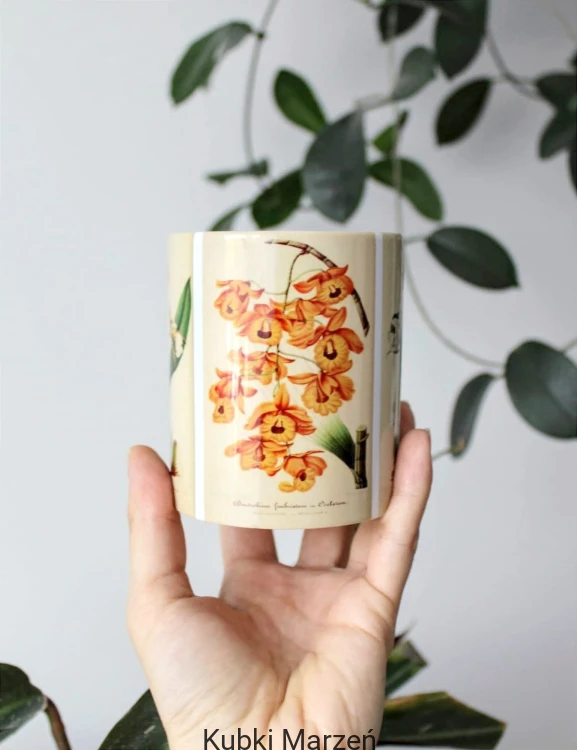 Kubek z orchideami vintage – trzy grafiki botaniczne
