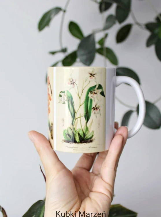Ceramika z motywem storczyków – klasyczne ryciny botaniczne
